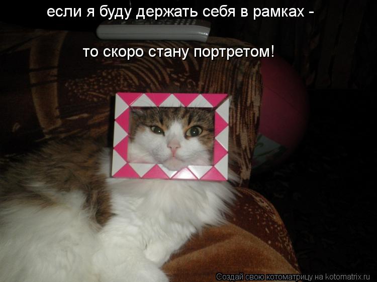 Котоматрица: если я буду держать себя в рамках -  то скоро стану портретом!