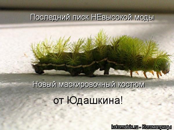 Котоматрица: Новый маскировочный костюм  от Юдашкина! Последний писк НЕвысокой моды