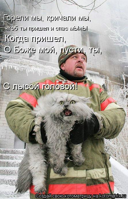 Котоматрица: Горели мы, кричали мы,  чтоб ты пришел и спас мЫнЫ Когда пришел, О Боже мой, пусти, ты, С лысой головой!