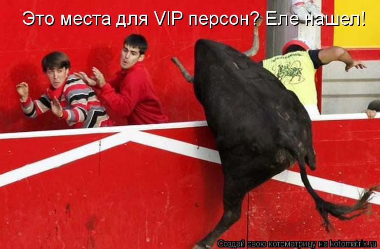 Это места для VIP персон? Еле нашел!... Котоматрица: Это места для VIP персон? Еле нашел!