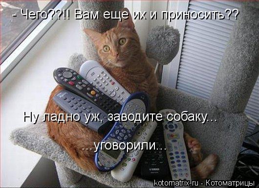 Котоматрица: - Чего??!! Вам еще их и приносить?? Ну ладно уж, заводите собаку... ...уговорили...