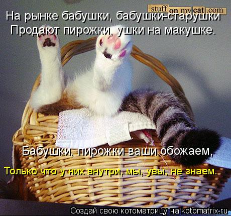 Котоматрица: Продают пирожки, ушки на макушке. На рынке бабушки, бабушки-старушки  Бабушки, пирожки ваши обожаем, Только что у них внутри, мы, увы, не знаем