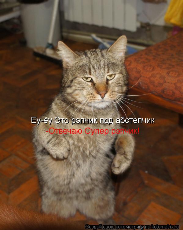 Котоматрица: Еу-ёу Это рэпчик под абстепчик -Отвечаю Супер рэпчик!