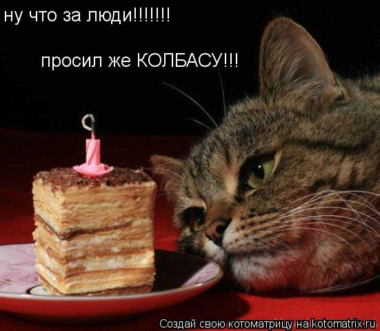 Котоматрица: ну что за люди!!!!!!!  просил же КОЛБАСУ!!!