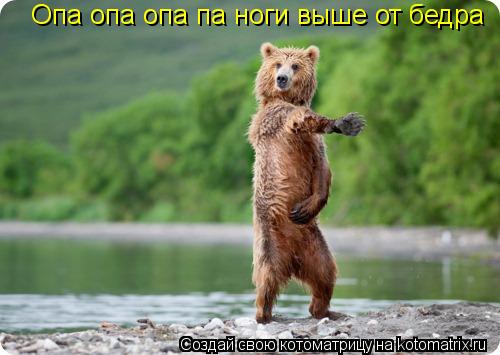 Котоматрица: Опа опа опа па ноги выше от бедра