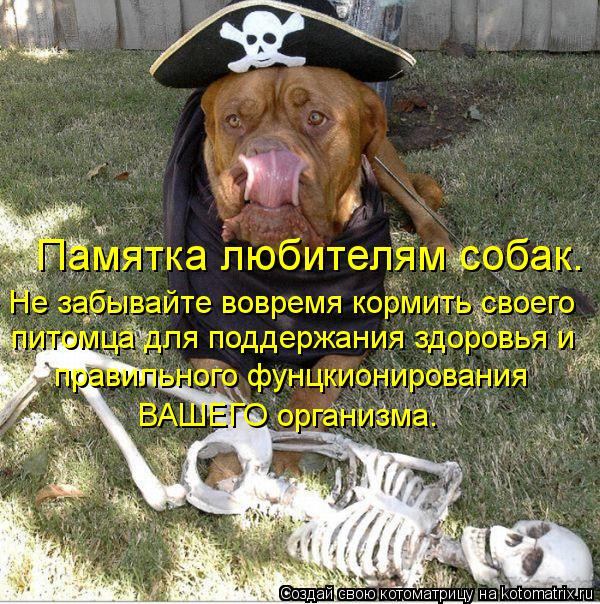 Котоматрица: Памятка любителям собак. Не забывайте вовремя кормить своего питомца для поддержания здоровья и правильного фунцкионирования  ВАШЕГО орг