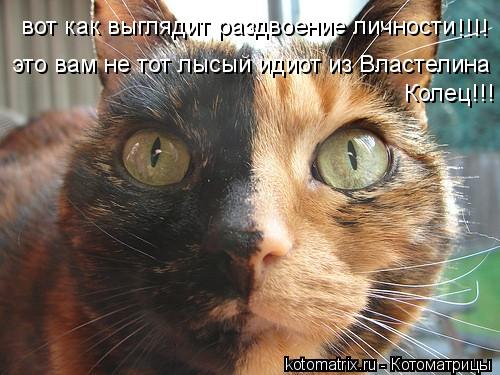 Котоматрица: вот как выглядит раздвоение личности !!!! это вам не тот лысый идиот из Властелина  Колец!!!