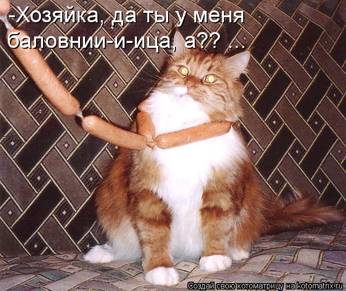 Котоматрица: -Хозяйка, да ты у меня  баловнии-и-ица, а?? ...