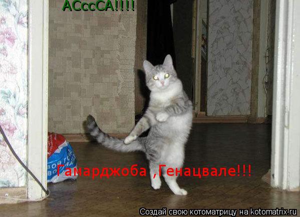 Котоматрица: АСссСА!!!! Гамарджоба ,Генацвале!!!