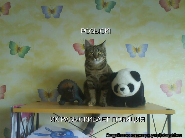 Котоматрица: РОЗЫСК! ИХ РАЗЫСКИВАЕТ ПОЛИЦИЯ