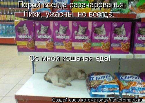 Котоматрица: Порой всегда разачарованья Лихи, ужасны, но всегда.. Со мной кошачая еда!