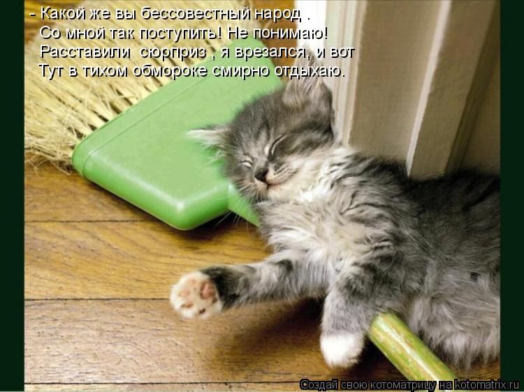 Котоматрица: - Какой же вы бессовестный народ – Со мной так поступить! Не понимаю! Расставили «сюрприз», я врезался, и вот Тут в тихом обмороке смирно отд