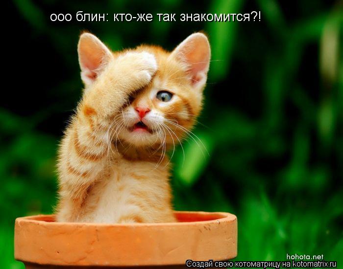 Котоматрица: ооо блин: кто-же так знакомится?!