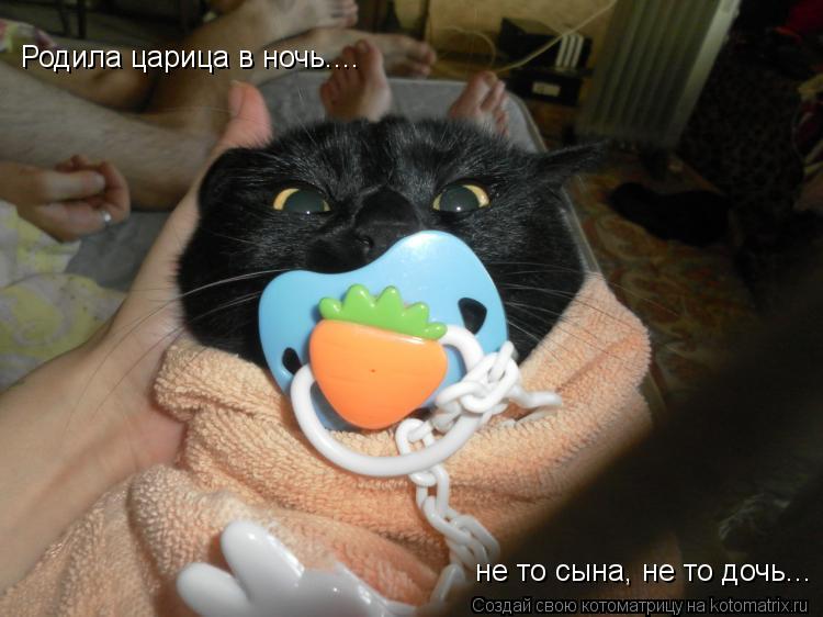 Котоматрица: Родила царица в ночь.... не то сына, не то дочь...