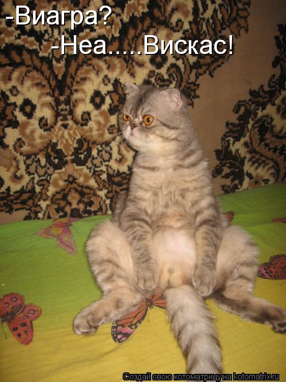 Котоматрица: -Виагра? -Неа.....Вискас!