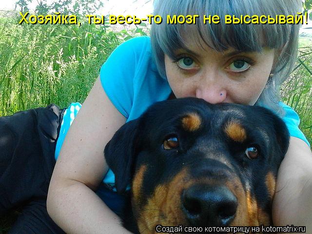Котоматрица: Хозяйка, ты весь-то мозг не высасывай!