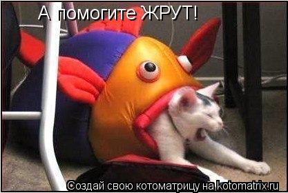 Котоматрица: А помогите ЖРУТ!