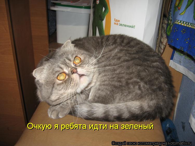 Котоматрица: Очкую я ребята идти на зеленый