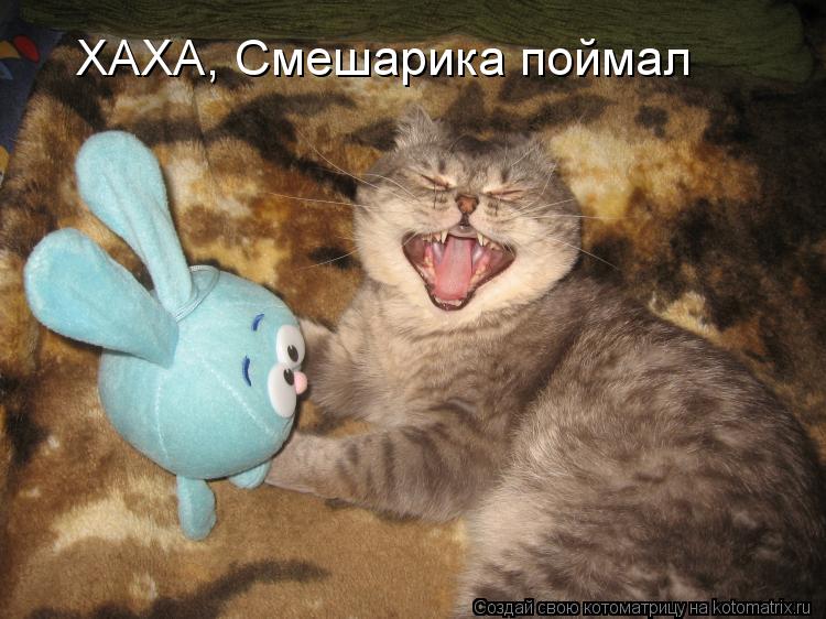 Котоматрица: ХАХА, Смешарика поймал