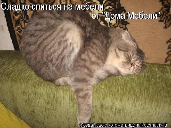 Котоматрица: Сладко спиться на мебели от "Дома Мебели"
