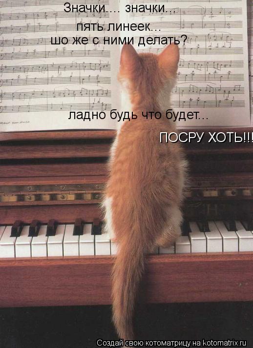 Котоматрица: Значки.... значки... пять линеек... шо же с ними делать? ладно будь что будет... ПОСРУ ХОТЬ!!!!
