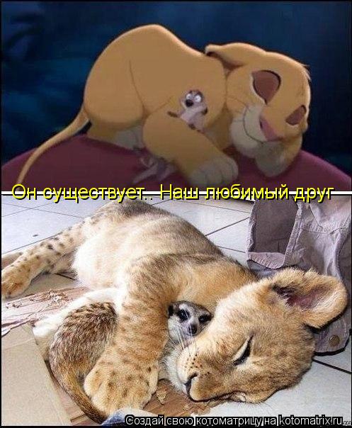 Котоматрица: _________________________________ _________________________________ Он существует.. Наш любимый друг