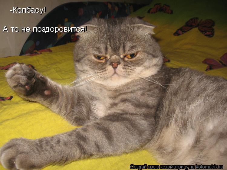 Котоматрица: -Колбасу! А то не поздоровится!