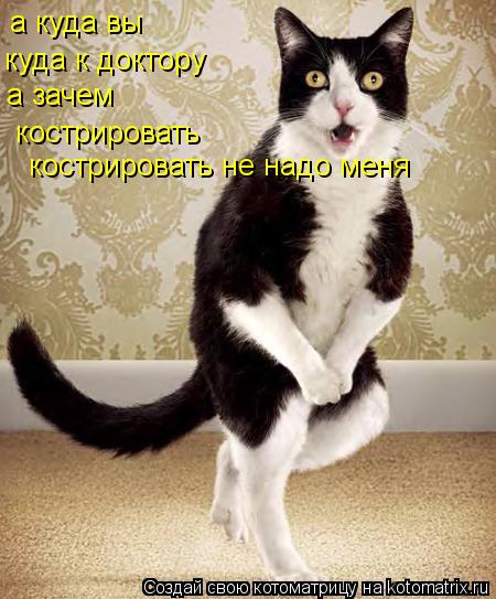 а куда вы куда к доктору а зачем кострировать кострировать не надо меня... Котоматрица: а куда вы куда к доктору а зачем кострировать кострировать не надо меня