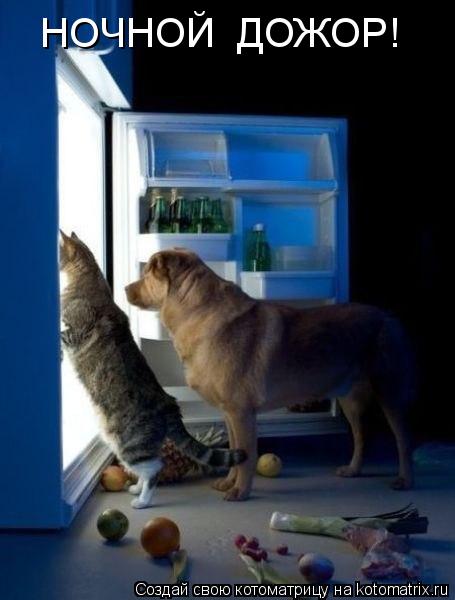 НОЧНОЙ ДОЖОР!... Котоматрица: НОЧНОЙ ДОЖОР!