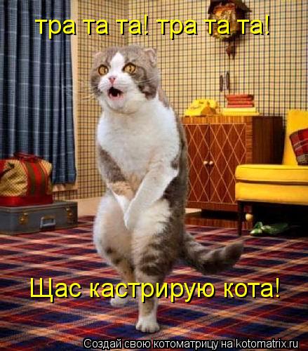 тра та та! тра та та! Щас кастрирую кота!... Котоматрица: тра та та! тра та та! Щас кастрирую кота!