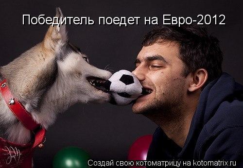 Победитель поедет на Евро-2012... Котоматрица: Победитель поедет на Евро-2012