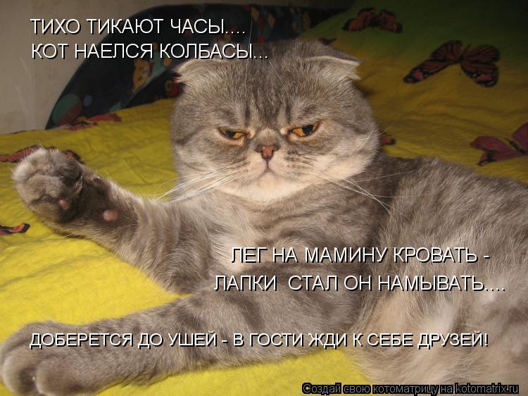 ТИХО ТИКАЮТ ЧАСЫ.... КОТ НАЕЛСЯ КОЛБАСЫ... ЛЕГ НА МАМИНУ КРОВАТЬ - ЛАПКИ СТАЛ ОН НАМЫВАТЬ.... ДОБЕРЕ... Котоматрица: ТИХО ТИКАЮТ ЧАСЫ.... КОТ НАЕЛСЯ КОЛБАСЫ... ЛЕГ НА МАМИНУ КРОВАТЬ - ЛАПКИ СТАЛ ОН НАМЫВАТЬ.... ДОБЕРЕТСЯ ДО УШЕЙ - В ГОСТИ ЖДИ К СЕБЕ ДРУЗЕЙ!