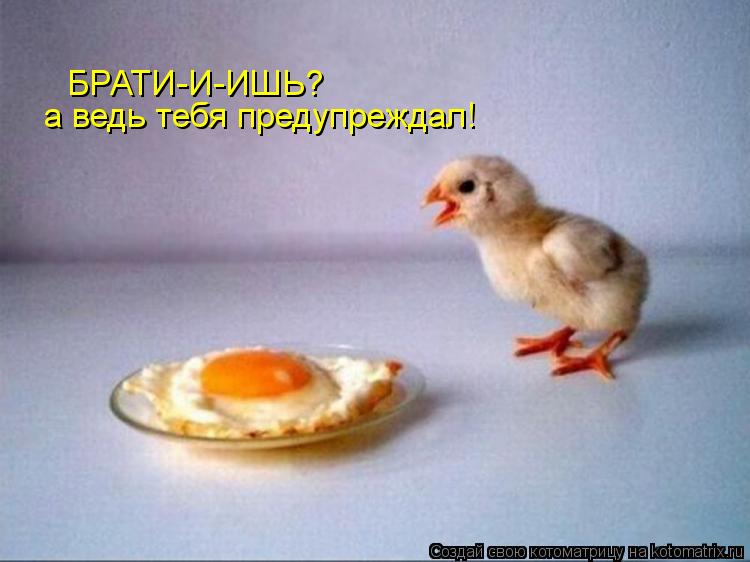 Котоматрица: БРАТИ-И-ИШЬ?   а ведь тебя предупреждал!