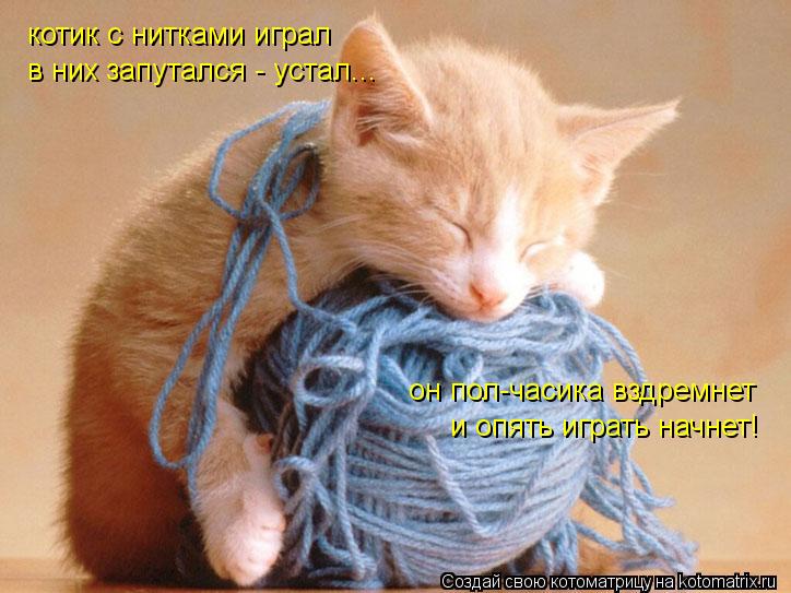 Котоматрица: котик с нитками играл в них запутался - устал... он пол-часика вздремнет и опять играть начнет!