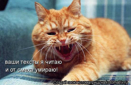 Котоматрица: ваши тексты я читаю и от смеха умираю!
