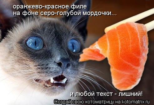 Котоматрица: оранжево-красное филе на фоне серо-голубой мордочки... и любой текст - лишний!