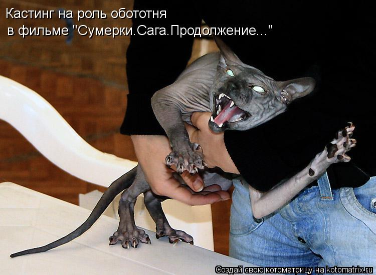 Котоматрица: Кастинг на роль обототня в фильме "Сумерки.Сага.Продолжение..."