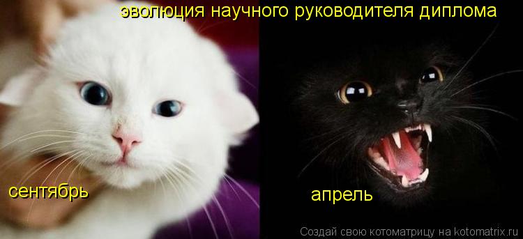 сентябрь апрель эволюция научного руководителя диплома... Котоматрица: сентябрь апрель эволюция научного руководителя диплома