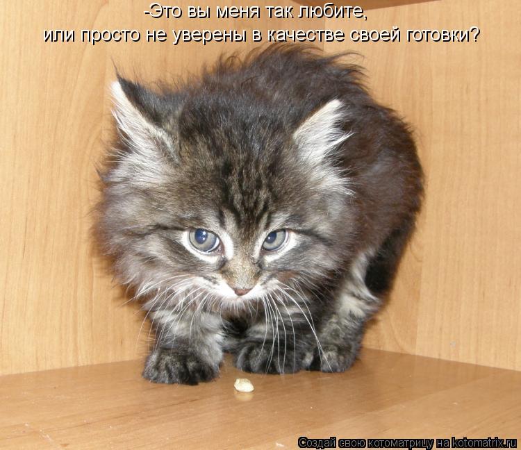 -Это вы меня так любите, или просто не уверены в качестве своей готовки?... Котоматрица: -Это вы меня так любите, или просто не уверены в качестве своей готовки?