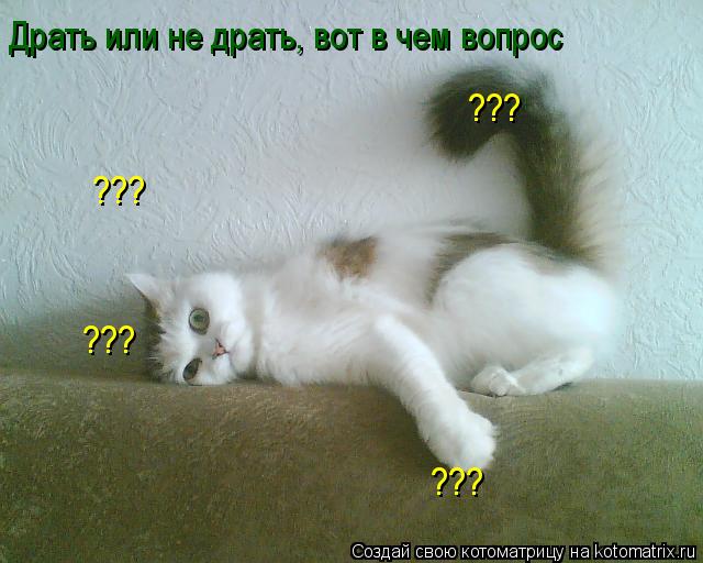 Котоматрица: Драть или не драть, вот в чем вопрос ??? ??? ??? ???