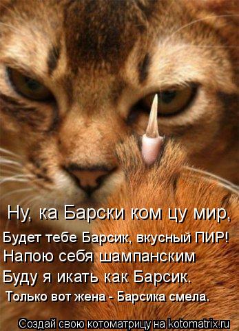Котоматрица: Ну, ка Барски ком цу мир, Будет тебе Барсик, вкусный ПИР! Напою себя шампанским Буду я икать как Барсик. Только вот жена - Барсика смела.