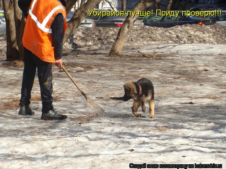 Котоматрица: Убирайся лучше! Приду проверю!!!