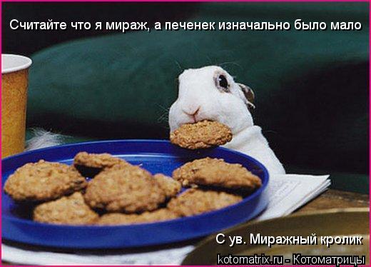 Считайте что я мираж, а печенек изначально было мало С ув. Миражный кролик... Котоматрица: Считайте что я мираж, а печенек изначально было мало С ув. Миражный кролик