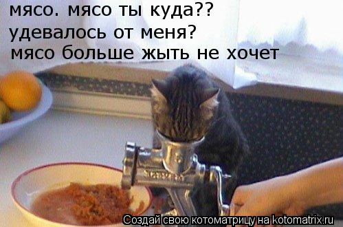 Котоматрица: мясо. мясо ты куда?? удевалось от меня? мясо больше жыть не хочет
