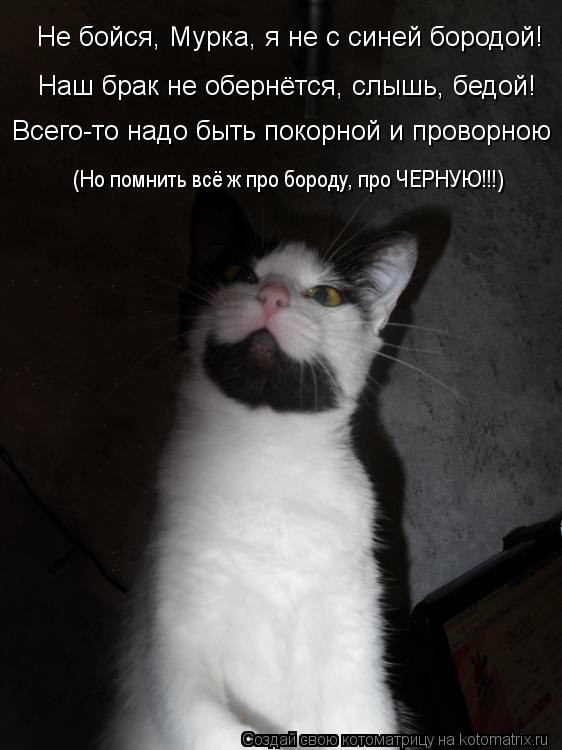 Котоматрица: Всего-то надо быть покорной и проворною Не бойся, Мурка, я не с синей бородой! Наш брак не обернётся, слышь, бедой! (Но помнить всё ж про бороду