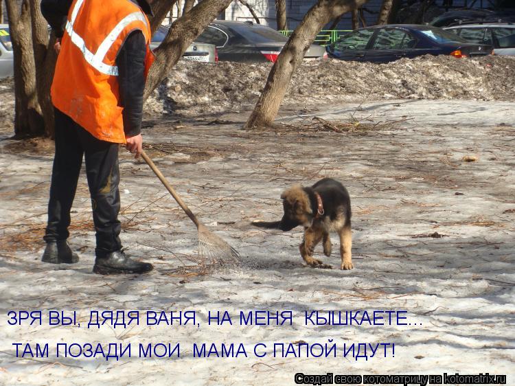 Котоматрица: ТАМ ПОЗАДИ МОИ  МАМА С ПАПОЙ ИДУТ! ЗРЯ ВЫ, ДЯДЯ ВАНЯ, НА МЕНЯ  КЫШКАЕТЕ...