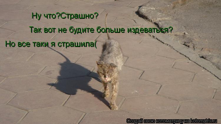 Котоматрица: Ну что?Страшно? Так вот не будите больше издеваться? Но все таки я страшила(