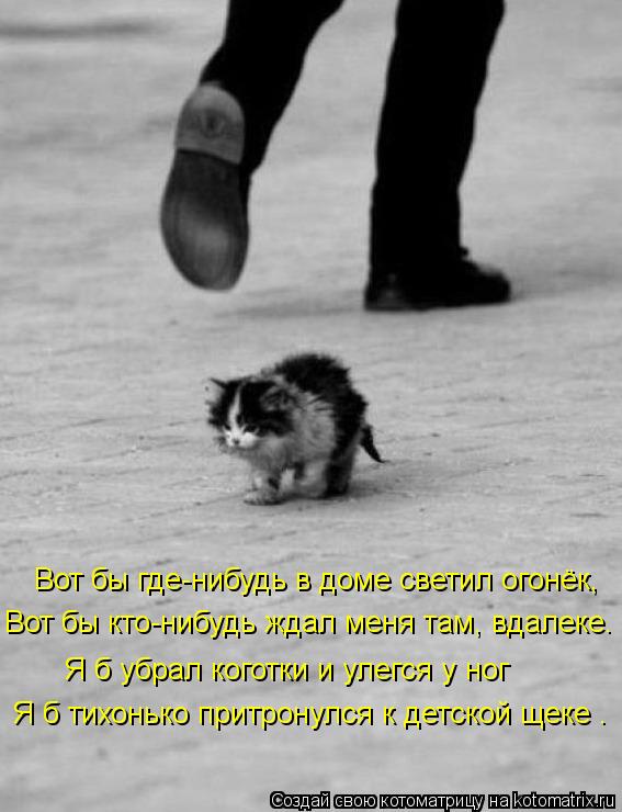 Котоматрица: Вот бы где-нибудь в доме светил огонёк,  Вот бы кто-нибудь ждал меня там, вдалеке… Я б убрал коготки и улегся у ног Я б тихонько притронулся к 