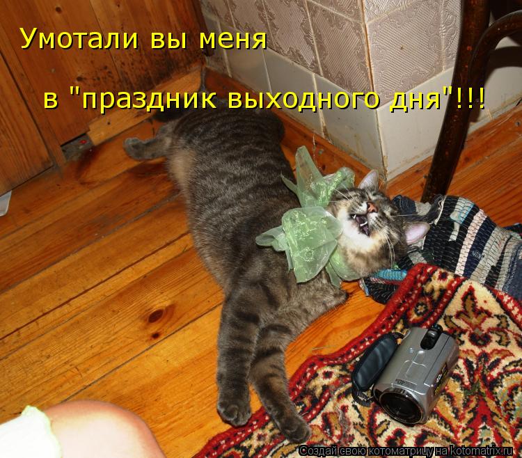 Котоматрица: Умотали вы меня   в "праздник выходного дня"!!!