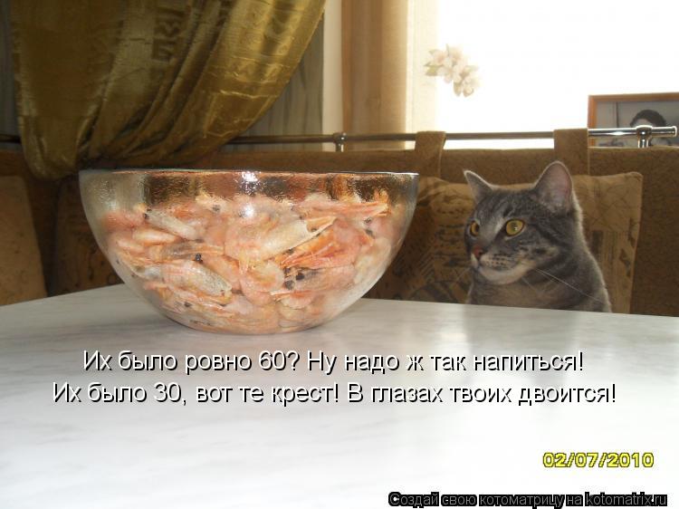 Их было 30, вот те крест! В глазах твоих двоится! Их было ровно 60? Ну надо ж так напиться!... Котоматрица: Их было 30, вот те крест! В глазах твоих двоится! Их было ровно 60? Ну надо ж так напиться!
